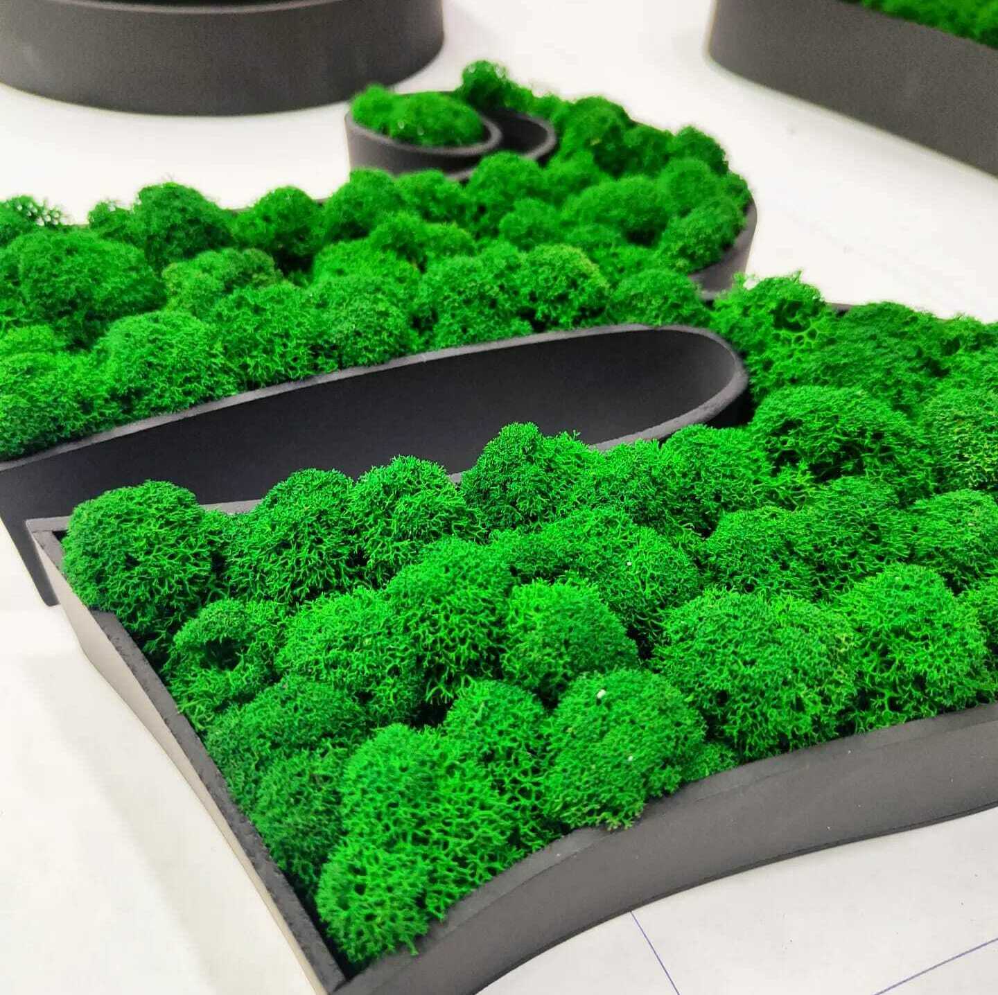 Буквы из мха Вывеска из мха